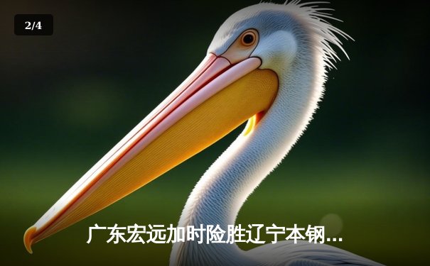 广东宏远加时险胜辽宁本钢，胡明轩关键三分锁定胜局 - 2